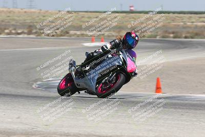 media/Aug-03-2024-TrackDaz (Sat) [[30bed884ff]]/C Group/1240pm (Grapevine)/